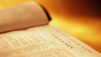 領向真理之書
