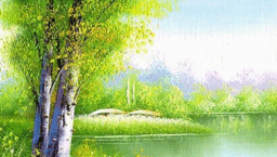 打 開 心 窗