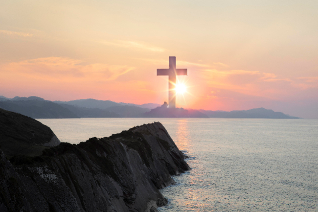 調查:7成機構財政收入持負面 8成不會暫停運作