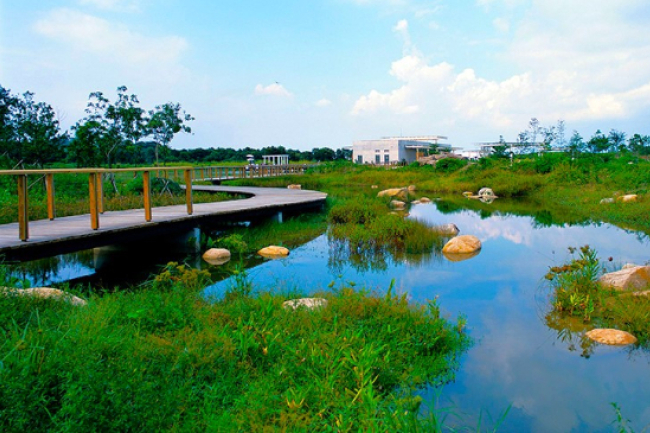 北部都會區發展 教區促政府保育本地魚業養殖文化