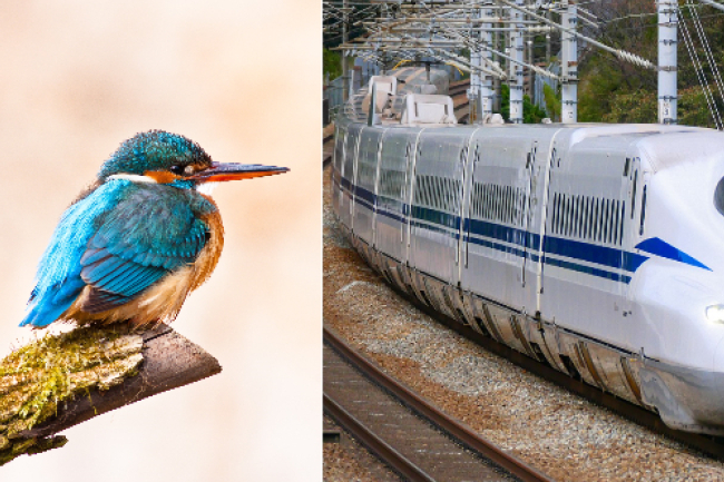 「仿生學」智慧設計抄襲上帝?