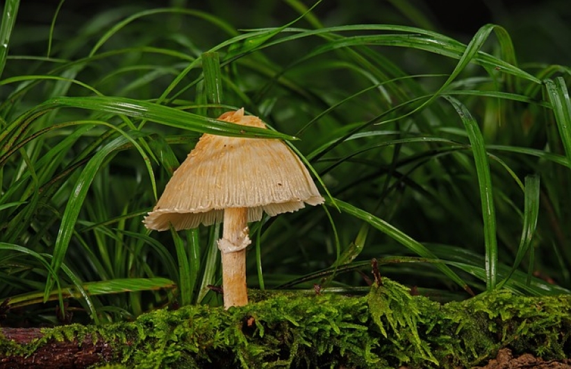 溫偉耀博士的信仰思考(中)為何說大自然的創造者就是《聖經》中的上帝?