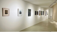 【當代藝粹】陳久雙：在藝術中說方言——陳久雙在疫情過後的一次個展