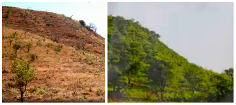 氣候變化研討會:香港世界宣明會倡導「重活農林、重建希望」