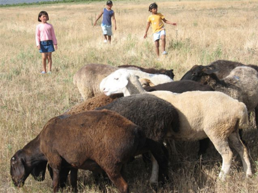 「吉國」V 姊妹:一個以生命影響生命的堅強母親