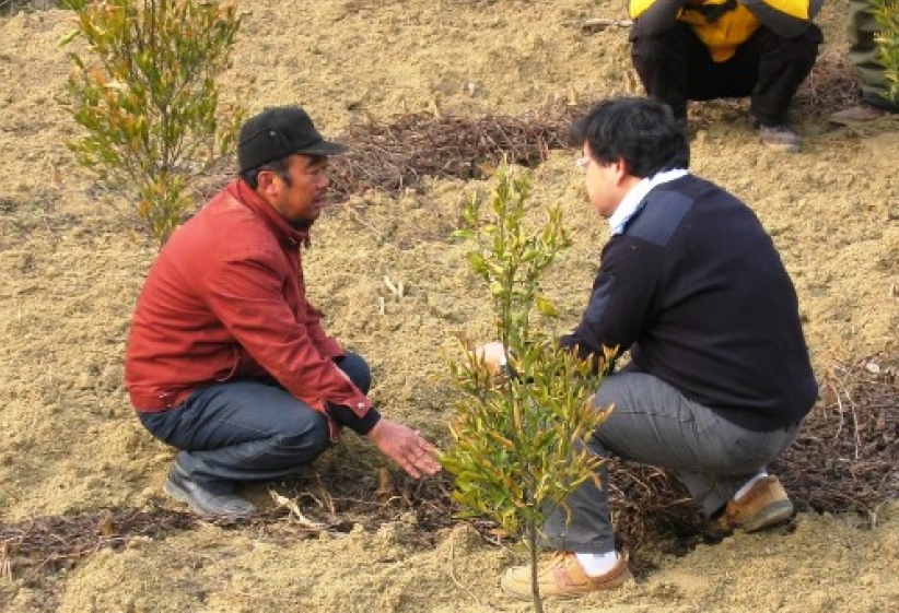 中国雪灾灾民劫后余生仍待帮助