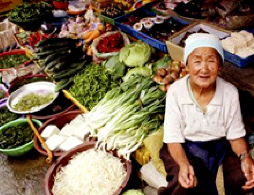 以信心的眼睛看北韓—機遇處處