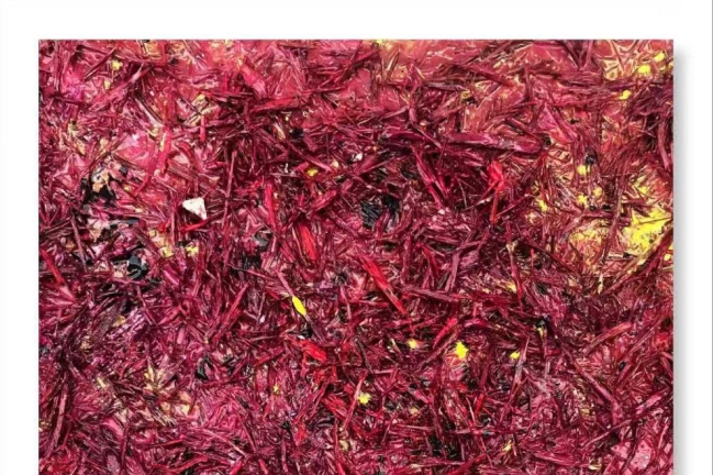 【當代藝粹】楊青：藝術的開啟