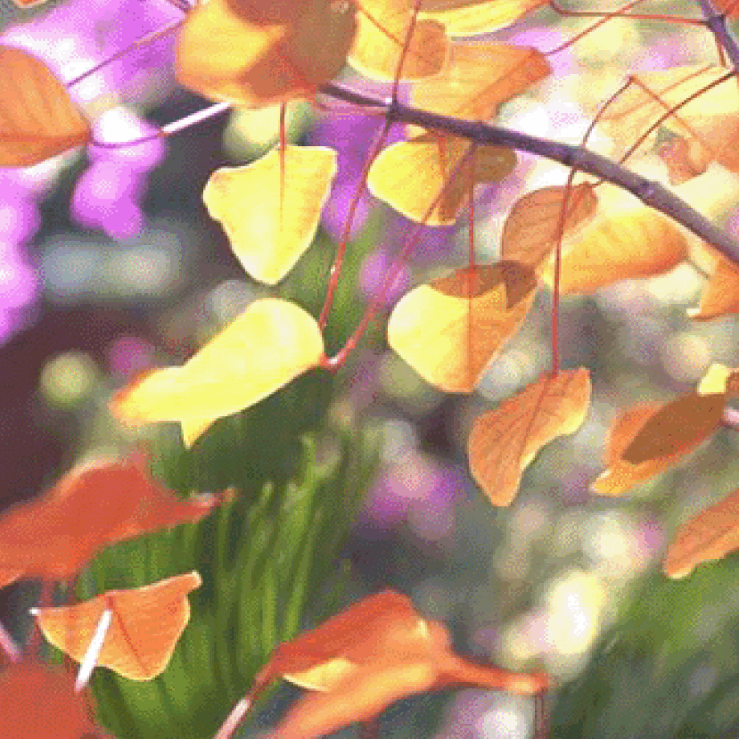 仁愛、謙遜、堅定