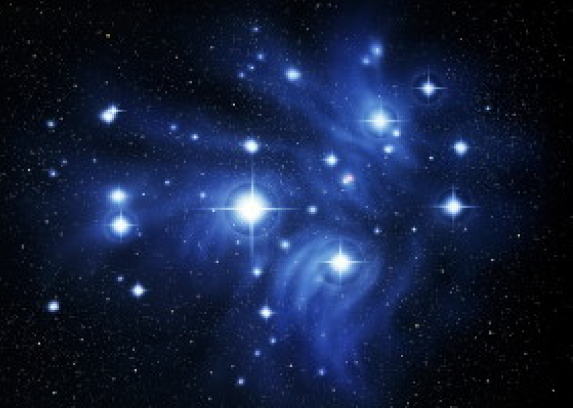 超人記憶力造就超新星獵手