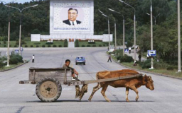 CSW為北韓舉辦禱告周