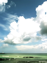 創世以前揀選了我