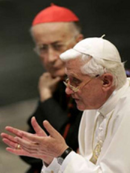 教宗本篤十六世公開讉責同性婚姻、墮胎和胚胎研究