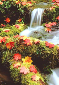 「論盡人生」第二講:「季節交替中的人生智慧」