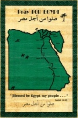 蒲草與聖經關係你可知﹖