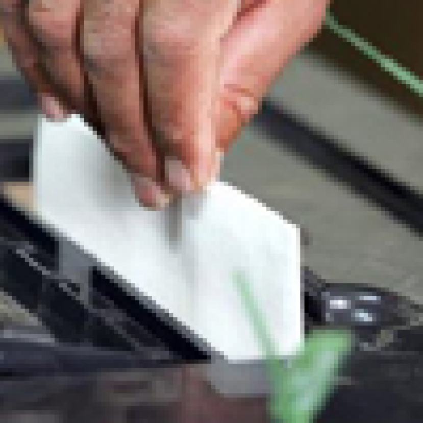 麻州發起簽名運動 冀修憲廢同性婚姻