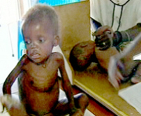 聯合國糧食計劃署:「世界忽視了飢餓問題」