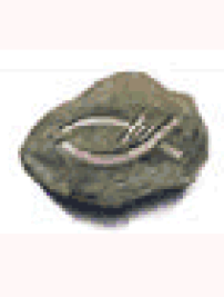 Open Doors「燈塔計劃」：運送347萬冊聖經書籍到中國