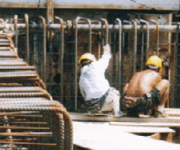 香港基督徒向各地領袖發出的減貧呼聲