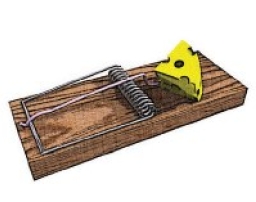 英國發明「人道老鼠夾」 用「安樂死」方式滅鼠