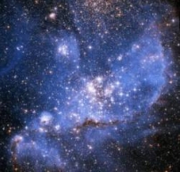 「智能設計」將正式走進美國堪州學堂