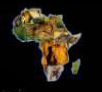 南非料將成為非洲大陸首個同性戀婚姻合法國家