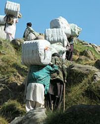 南亞地震災民300萬人棲身雪地