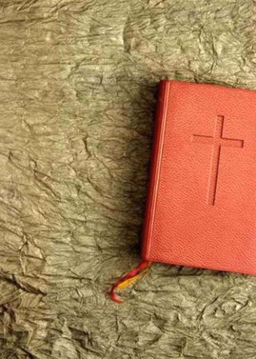 每日經歷神:因神的話而戰兢