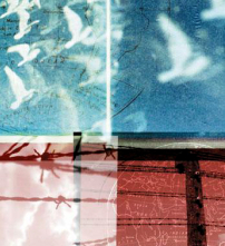 每日經歷神：剛強而非膽怯