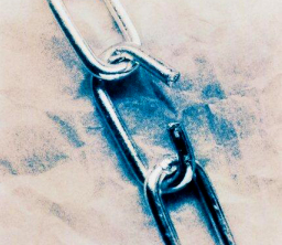 每日經歷神：那纏累我們的罪