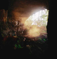 每日經歷神：應當一無掛慮