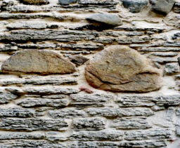 每日經歷神：冷酷的愛