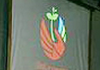 普世教會協會呼籲信徒攜手平息漫畫風暴