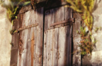 每日經歷神：捨己