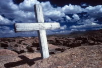 每日經歷神：背起你的十字架