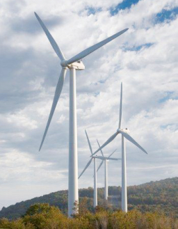 每日經歷神：敬虔的追求