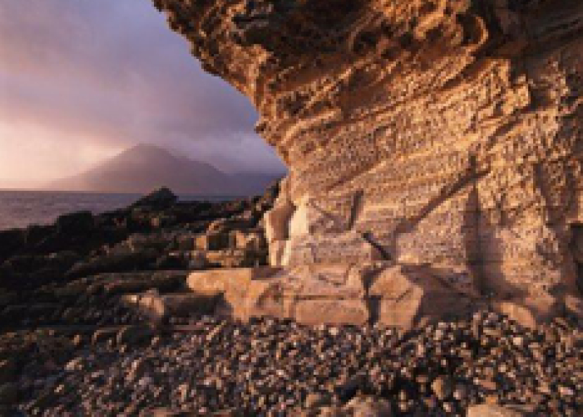 每日經歷神：信心得神喜悅