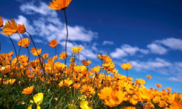 每日經歷神：認識神