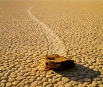 每日經歷神：在平凡中見非凡