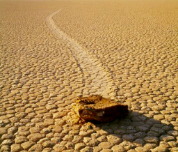 每日經歷神：在平凡中見非凡