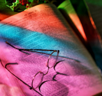 每日經歷神：崇敬