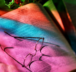 每日經歷神：崇敬