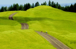 每日經歷神：我的道路非同你們的道路