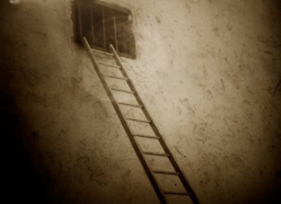 每日經歷神：難以想像