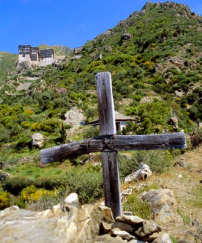 每日經歷神：與神稍往前走