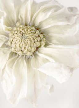 每日經歷神：太遲啦！