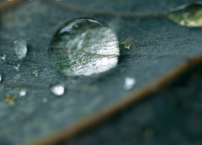 每日經歷神：吩咐火從天降