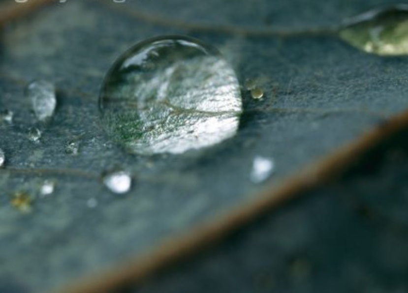 每日經歷神：吩咐火從天降