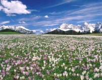 每日經歷神：沒人能禁止你