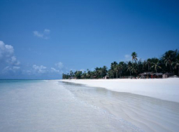 每日經歷神：給第二次機會的神